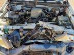 2007 Toyota Tacoma Base