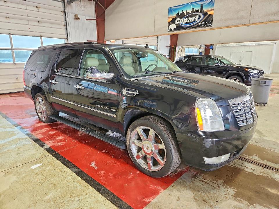 2010 Cadillac Escalade esv Premium