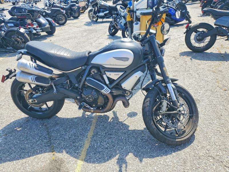 2023 Ducati Scrambler 1100