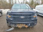 2025 Ford F150 XLT
