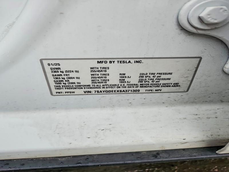 2025 Tesla Model y