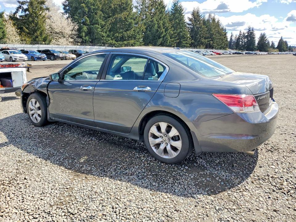 2009 Honda Accord exl