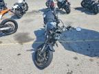 2023 Ducati Scrambler 1100