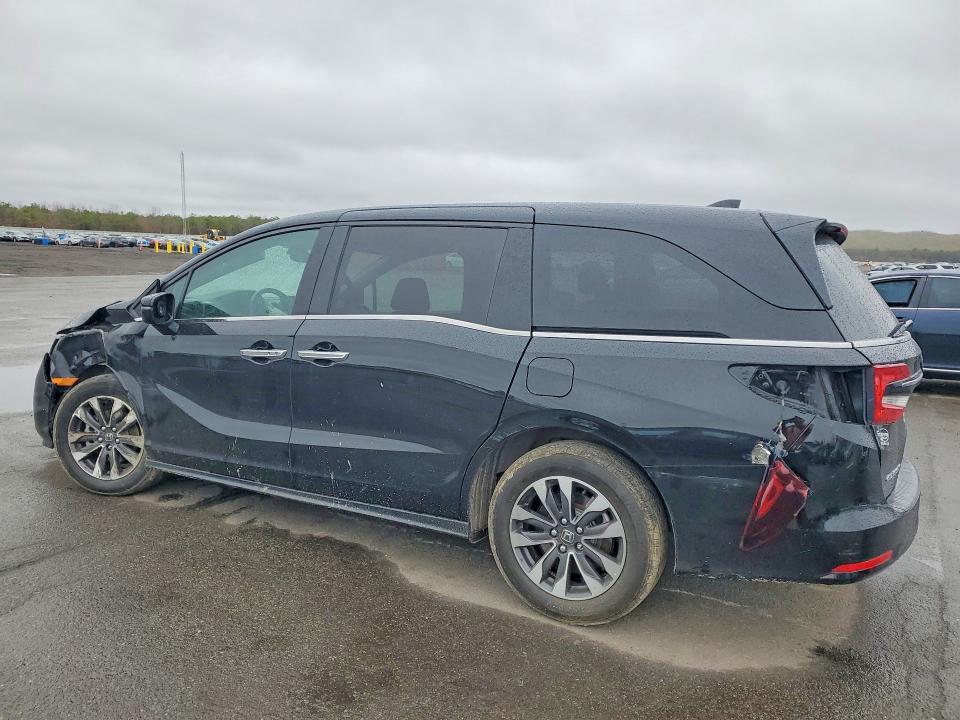 2024 Honda Odyssey exl