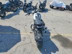 2023 Ducati Scrambler 1100
