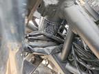 2025 Kawasaki EX500 A