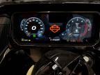 2024 Harley-Davidson Fltrxstse