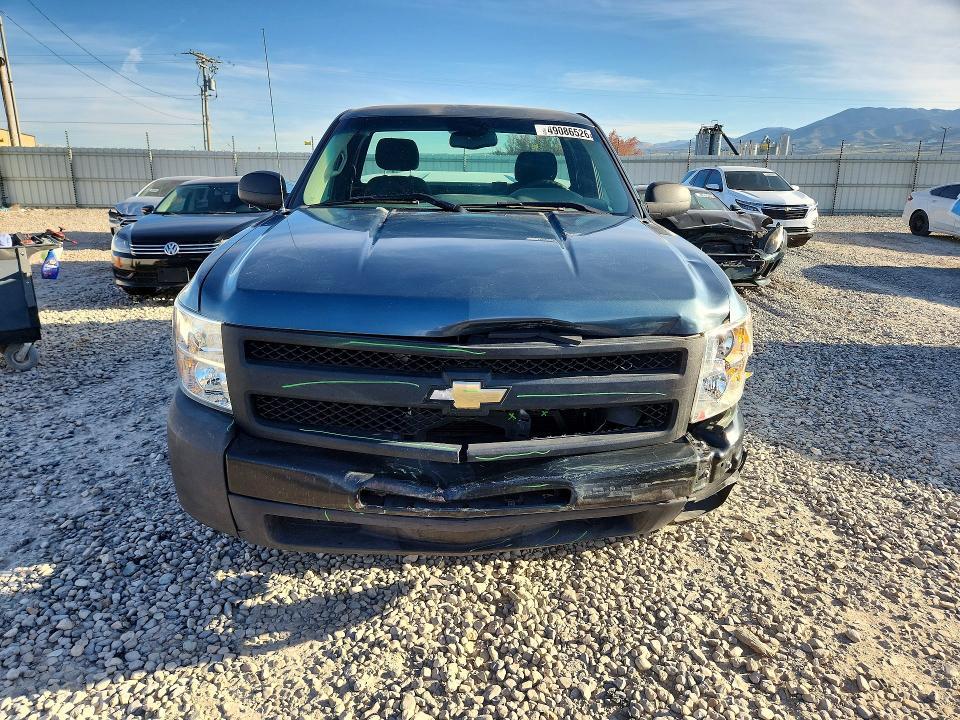 2010 Chevrolet Silverado C1500