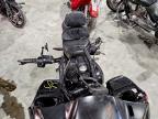 2021 Harley-Davidson Fltrxs