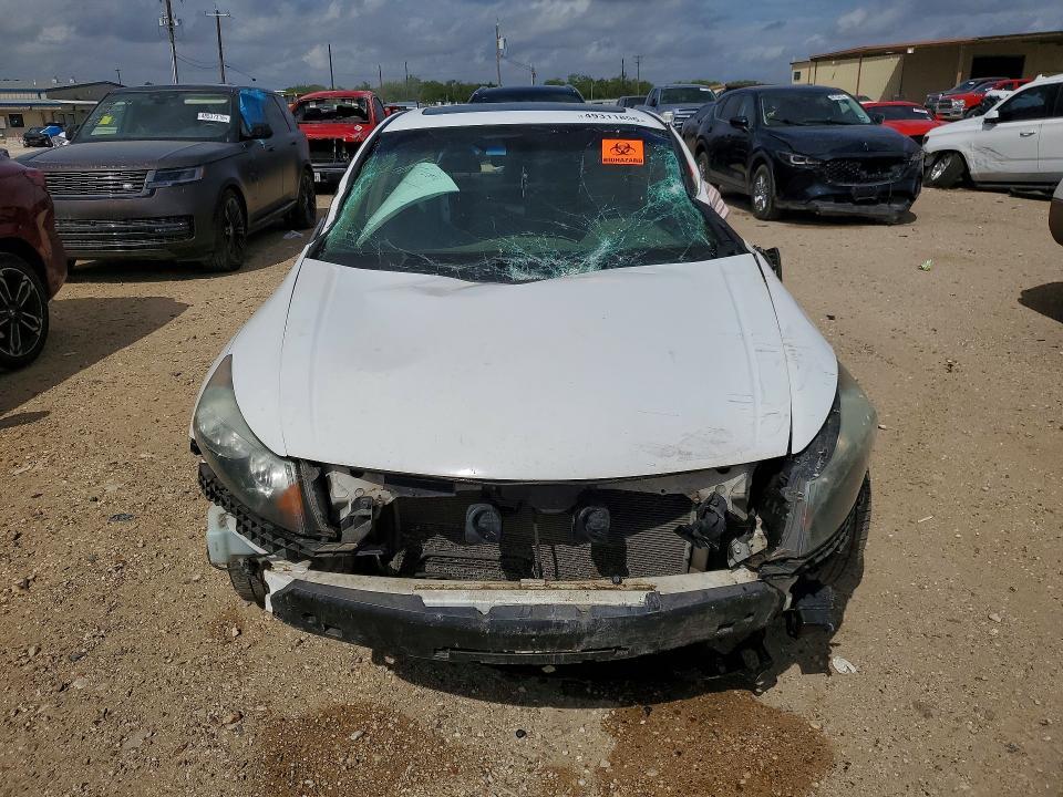 2009 Honda Accord exl