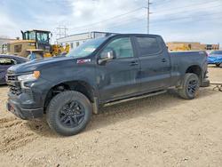Salvage trucks for sale at Bismarck, ND auction: 2024 Chevrolet Silverado K1500 LT Trail Boss