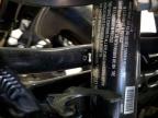 2024 Harley-Davidson Fltrxstse