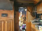 2020 Feathrlite 2020 Featherlite 9821-313D-STD Horse Trailer