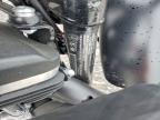 2019 Harley-Davidson XL883 N
