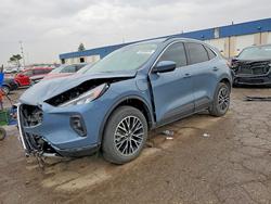 Ford salvage cars for sale: 2025 Ford Escape