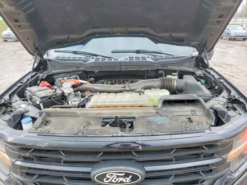 2024 Ford F150 XLT