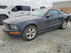 Ford salvage cars for sale: 2007 Ford Mustang