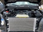 2025 Ford F150 STX