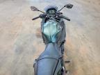 2025 Kawasaki EX650 P