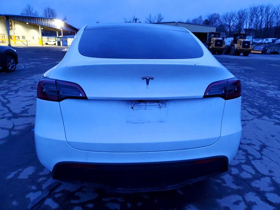 2025 Tesla Model y