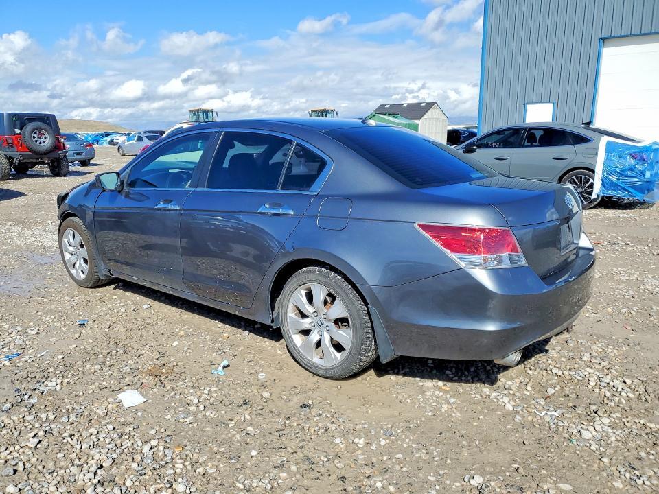 2010 Honda Accord exl
