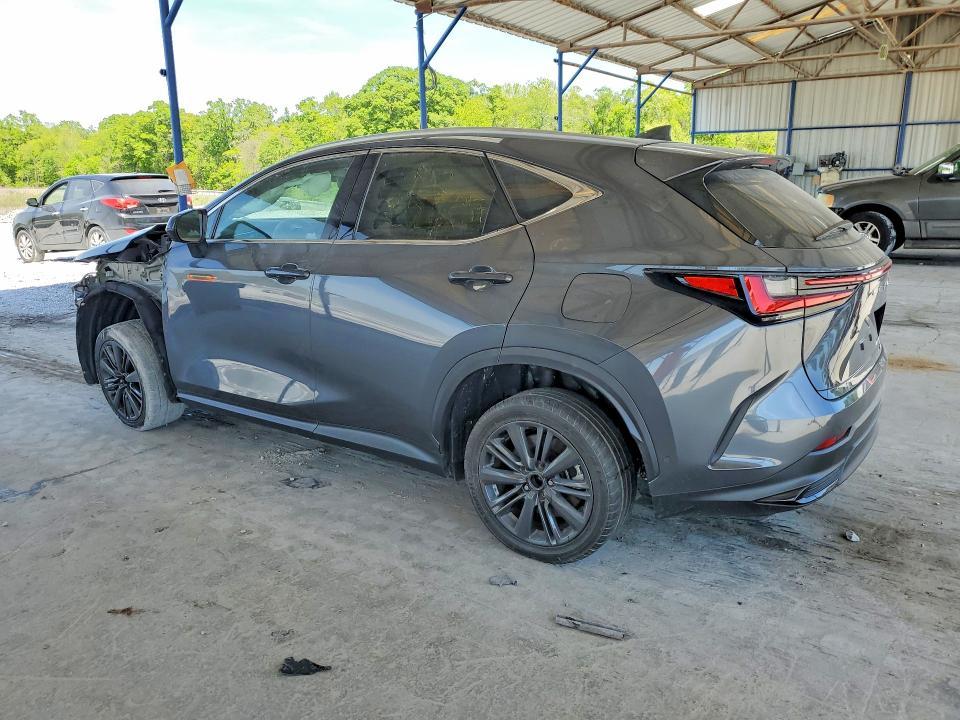 2025 Lexus Nx 350 Luxury