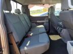 2025 Ford F150 XLT