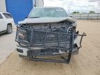 2024 Ford F150 STX