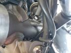 2025 Kawasaki EX500 A