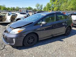 Toyota Prius salvage cars for sale: 2014 Toyota Prius one
