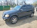 2004 Mercedes-Benz Ml 350