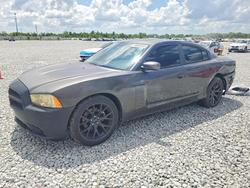 2013 Dodge Charger se en venta en Arcadia, FL