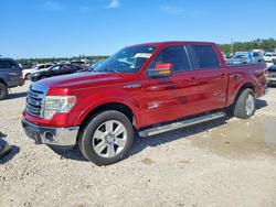 Ford salvage cars for sale: 2013 Ford F150 Supercrew