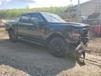 2025 Ford F150 XLT