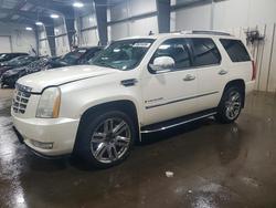 Cadillac salvage cars for sale: 2008 Cadillac Escalade Luxury