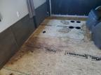 2020 Foresriver 2020 Forest River Sandstorm Camper