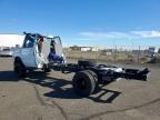 2026 Ford Econoline
