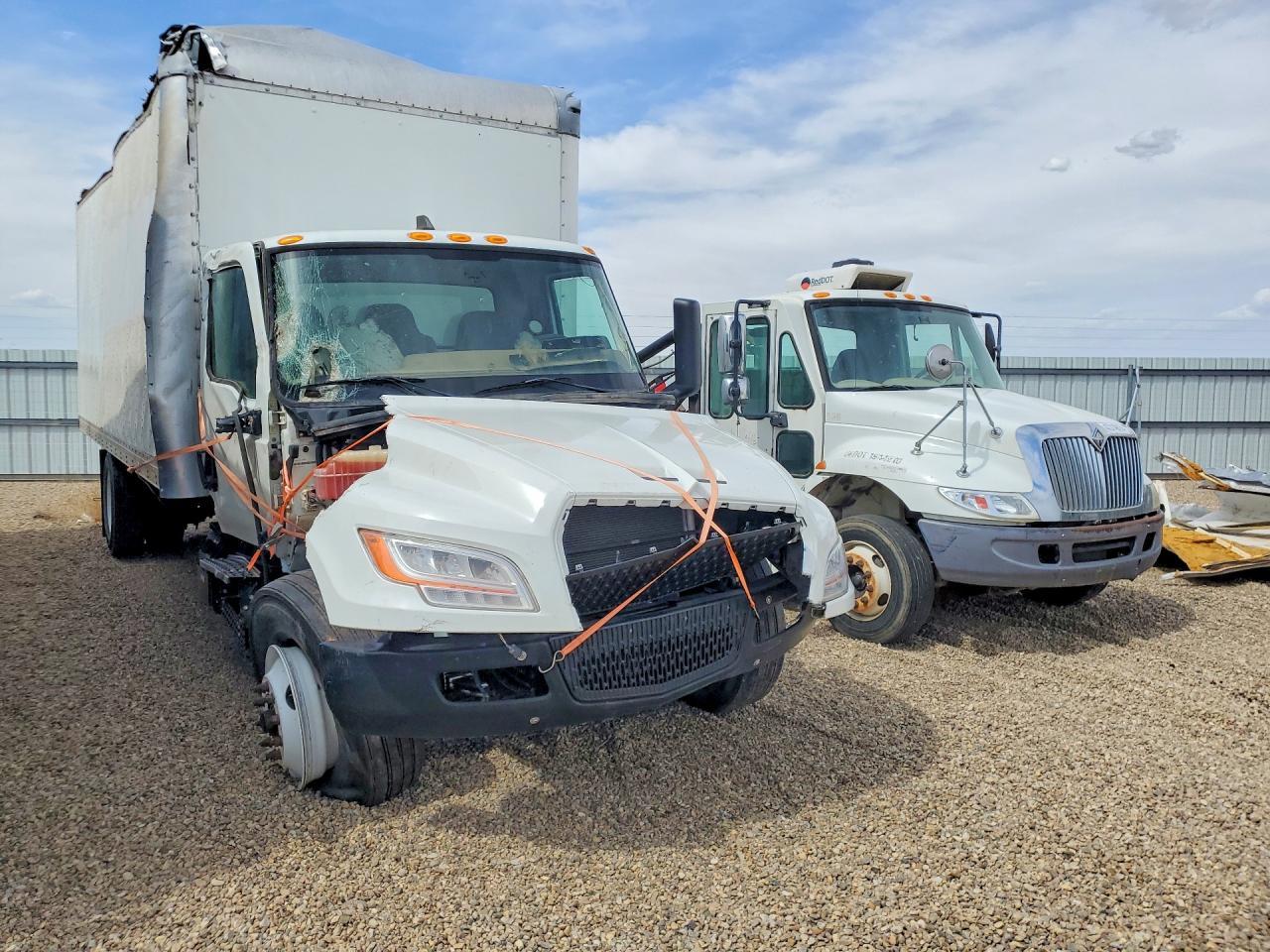 2023 International MV607 BOX Truck