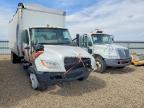 2023 International MV607 BOX Truck