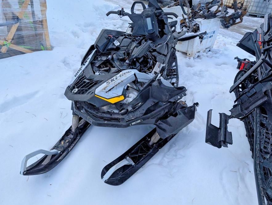 2026 Skidoo Skandic LE 600 EFI RER