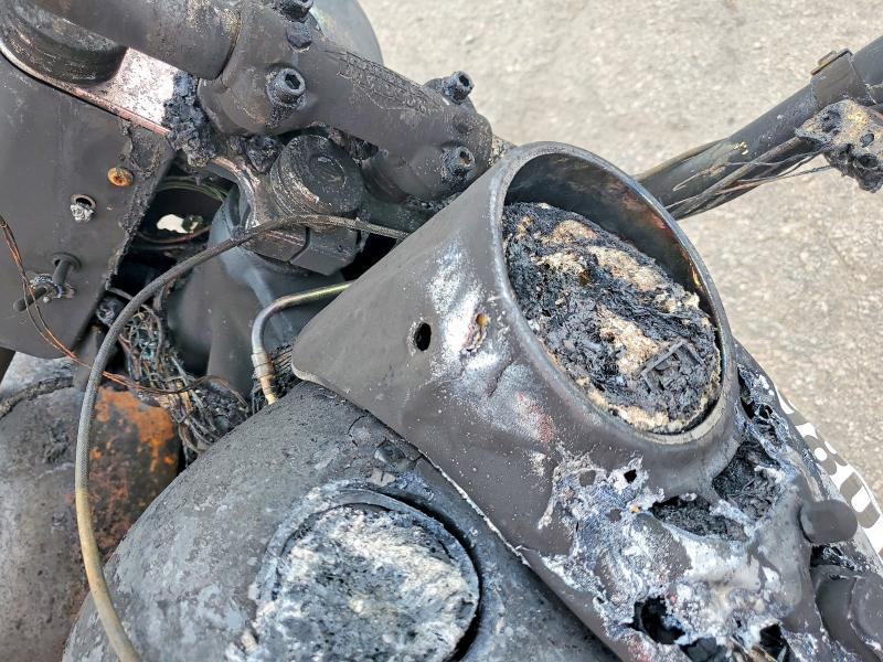 2009 Harley-Davidson Flstc