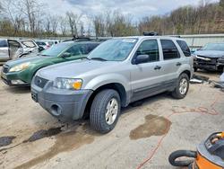 Ford Escape xlt salvage cars for sale: 2005 Ford Escape xlt