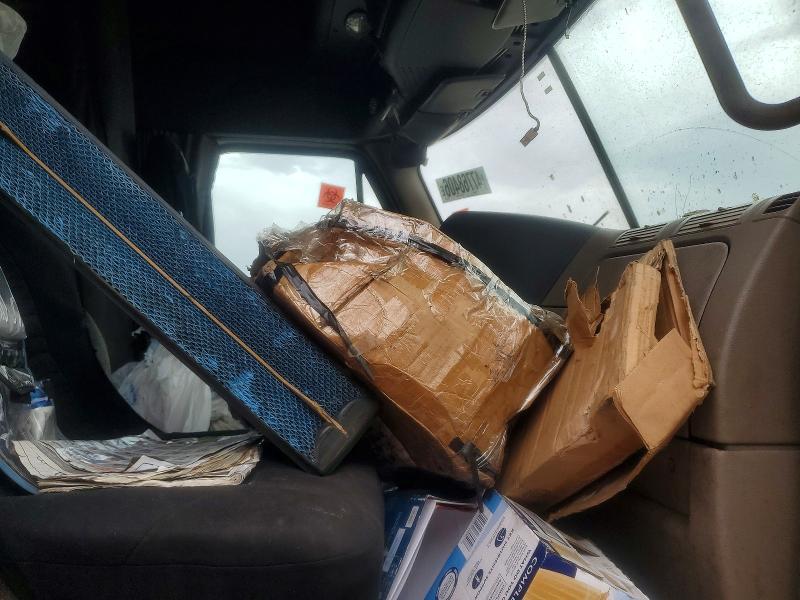 2015 Freigliner Cascadia 125