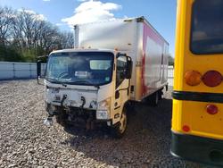 Salvage trucks for sale at Avon, MN auction: 2022 Isuzu NRR