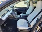 2023 Tsmr Model s