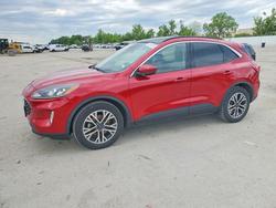 Ford Escape salvage cars for sale: 2020 Ford Escape sel