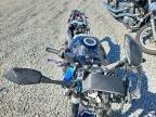 2024 Suzuki GSX800 F