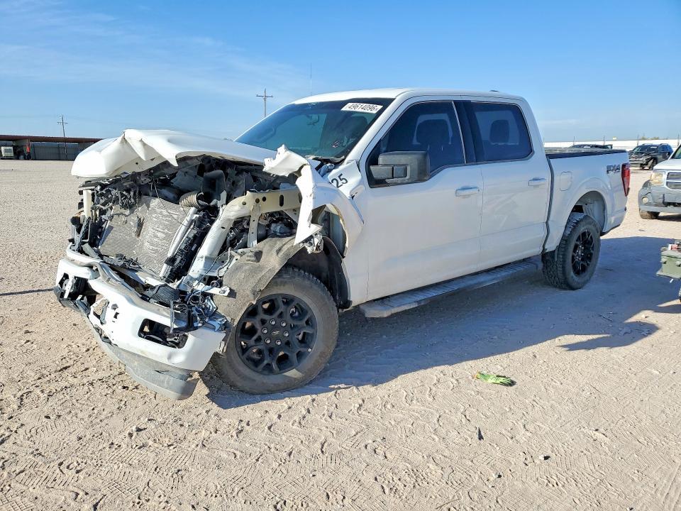2025 Ford F150 XLT