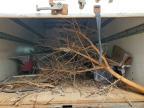 2017 Chevrolet Express G3500 Delivery Truck