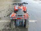 2019 ATV ATV